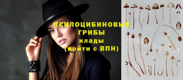 метадон Абаза